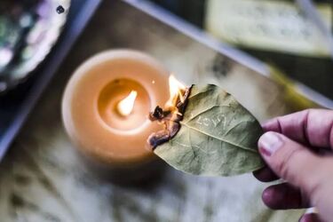 Позбудьтеся неприємностей завдяки одній популярній спеції