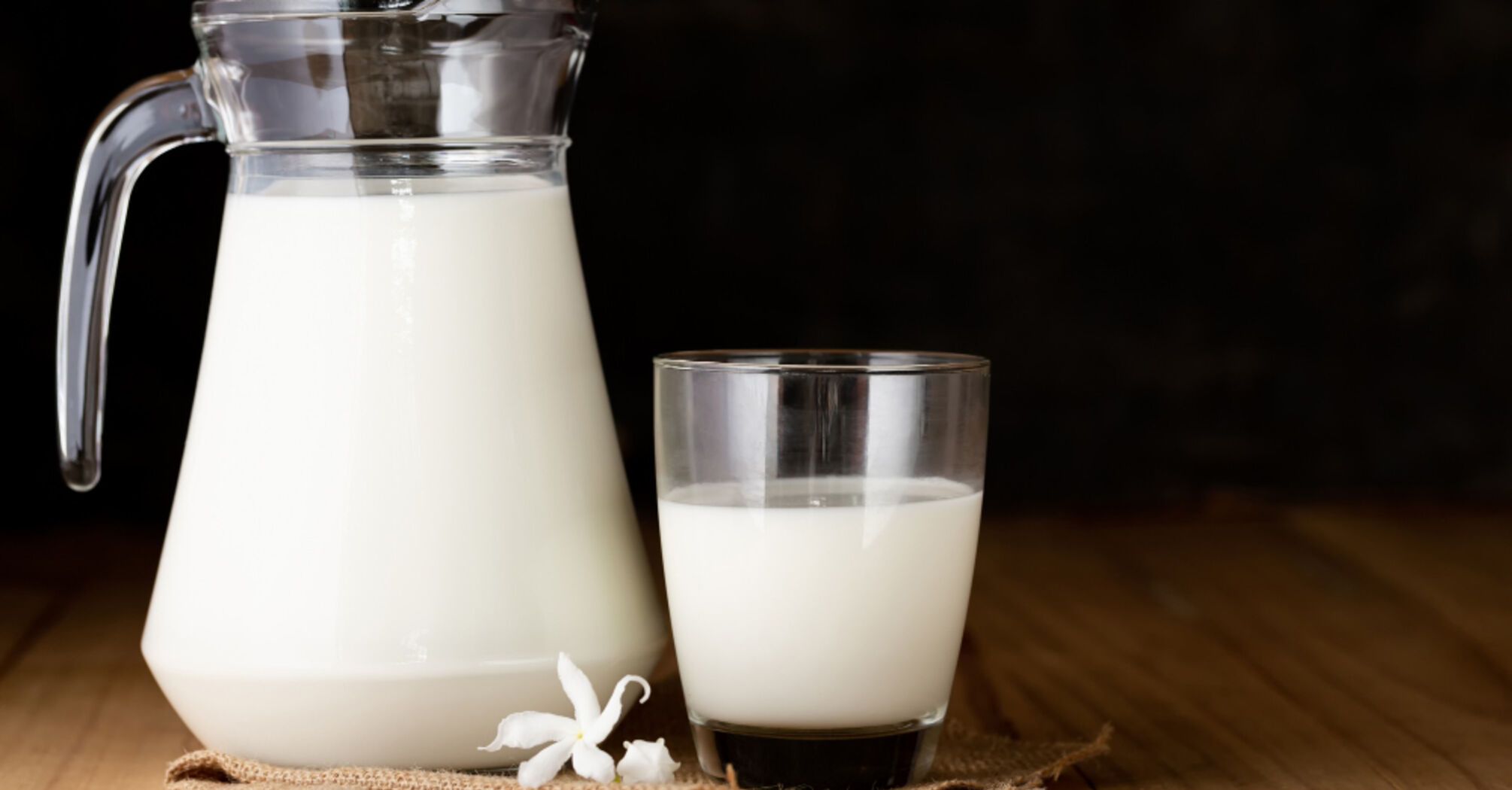 Alternatives to cow's milk: top 5 delicious substitutes