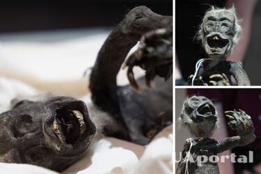 Разгадана тайна 'русалки из Фиджи': существо является мутантом рыбы, обезьяны и рептилии (фото)