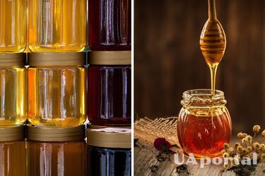 Пчеловод объяснил, где надо хранить мед, чтобы он не кристаллизовался