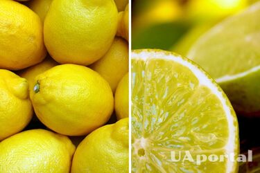 Experts explained how to properly store lemons: will be juicy for a month