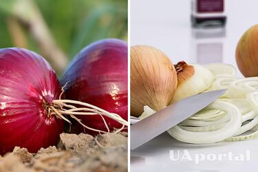 Three effective tips to help you not cry while chopping onions