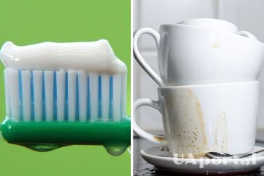 How to remove scratches on plates with toothpaste - a life hack