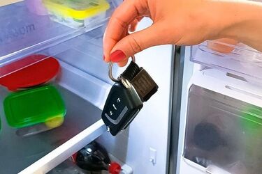 Why keep your car keys in the refrigerator