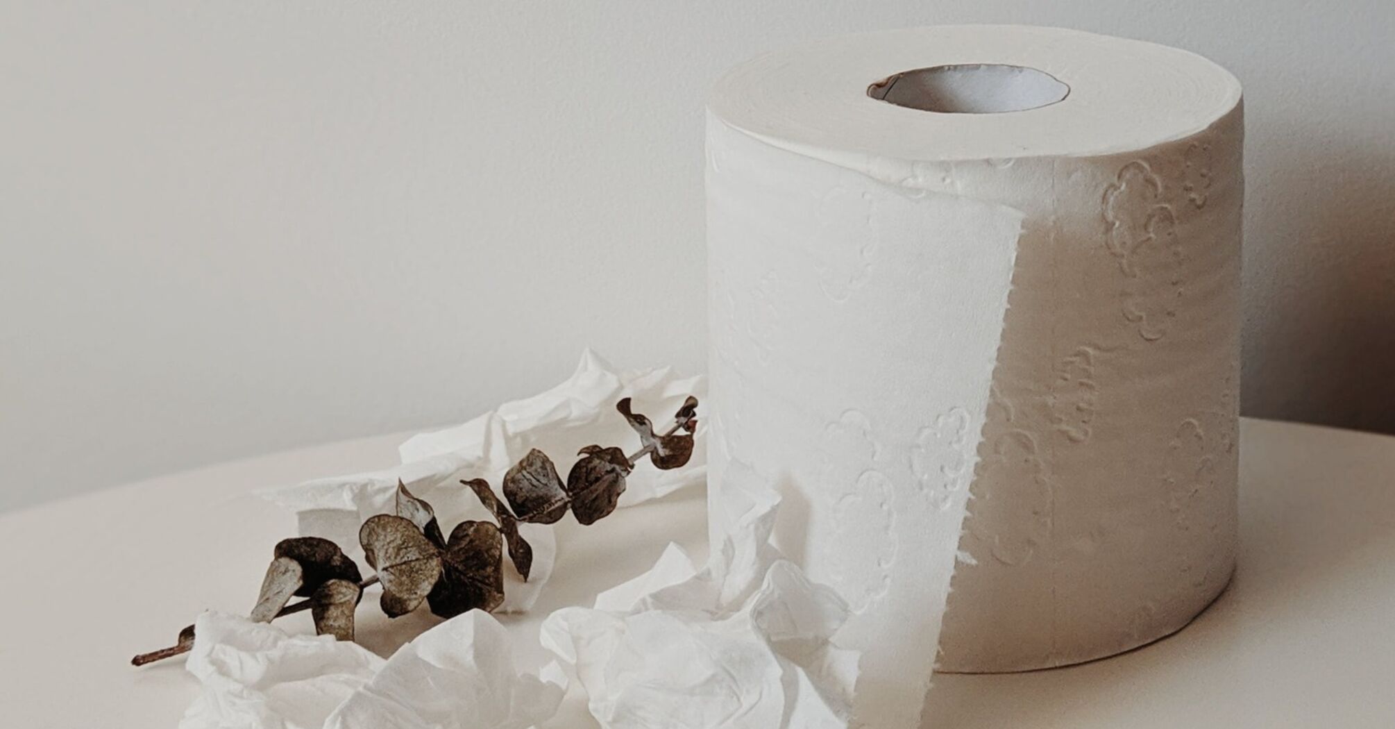 Скрытый потенциал втулок от туалетной бумаги