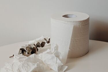 Скрытый потенциал втулок от туалетной бумаги