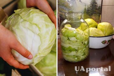 A preparation that will save a lot of time: How to prepare sauerkraut leaves for stuffed cabbage soups