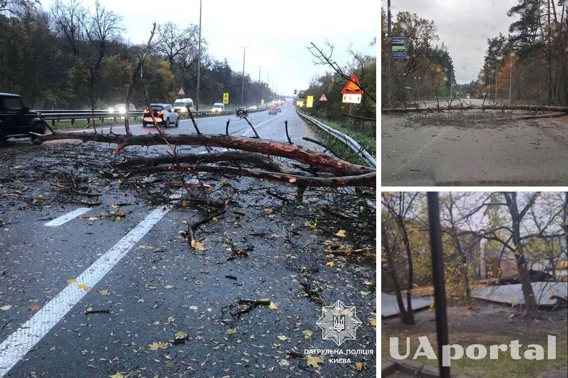 Вырывает деревья и сносит биллборды: в сети показали последствия ураганного ветра в Киеве