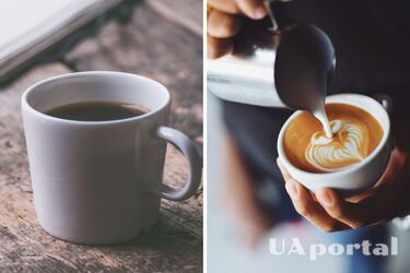 Coffee or chicory: which drink to choose