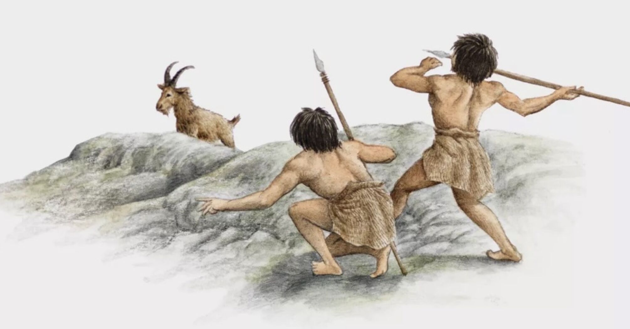 Британская археологиня доказала, что в древности женщины охотились наравне с мужчинами