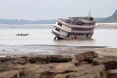 Due to the drought, 2000-year-old rock paintings 'floated' out from under the water of the Amazon (photo)