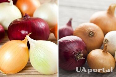 Яка цибуля корисніша – червона чи біла: ви будете здивовані