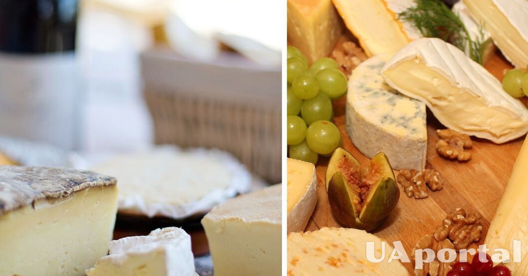 Эксперты объяснили, как хранить сыр без холодильника: так поступают во Франции