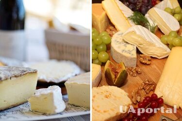 Експерти пояснили, як зберігати сир без холодильника: так роблять у Франції