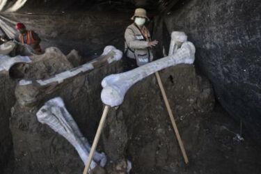 У Мексиці виявили скелети мамонтів віком 20 тисяч років