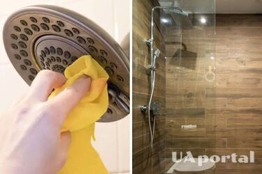  How to remove limescale from the shower - how to get rid of calcium deposits at home
