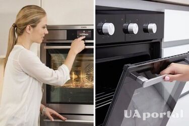 Как сэкономить на коммуналке, используя электрическую духовку