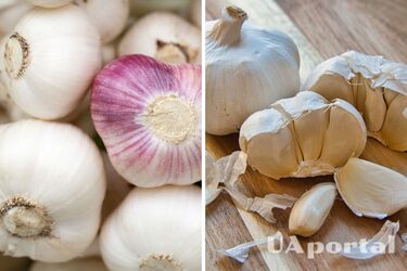 Повар объяснил, где нужно держать чеснок, чтобы он долго был свежим