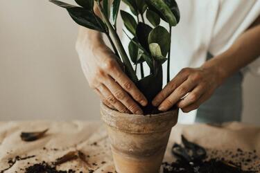 Удобрение в быту