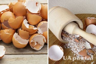 Как использовать яичную скорлупу как отбеливатель для одежды во время стирки