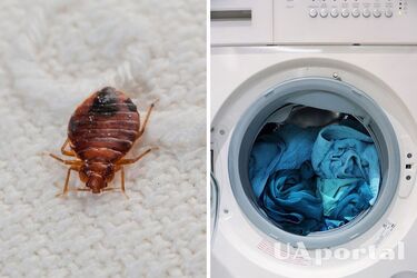 Эксперты назвали лучшую температуру для стирки полотенец и постели: убивает постельных клопов