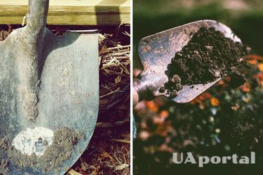 Як приготувати домашні добрива для обробки грядок восени