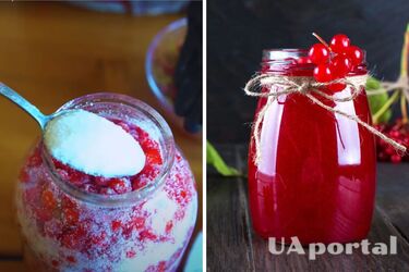 Как сделать калину с сахаром на зиму