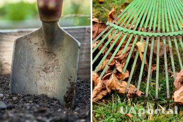 Эксперт по садоводству объяснил, что обязательно нужно сделать в саду в октябре