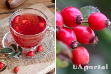 How to properly brew rose hips