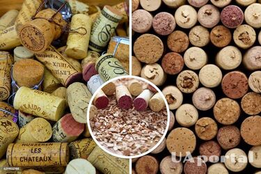 Не выбрасывайте пробки от бутылок с вином: пять невероятных лайфхаков