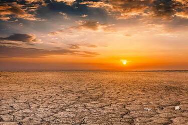 Ученые считают, что человечество может умереть в этом веке с шансом 1 до 6
