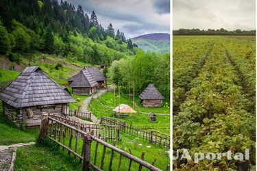 Як на Закарпатті називають різні овочі