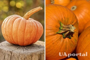 Researchers gave seven arguments why pumpkin is good for your health