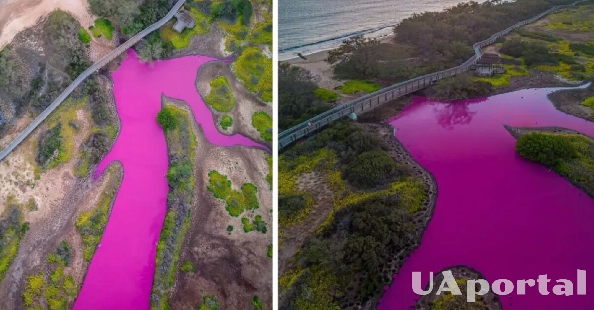 Озеро на Гаваях пофарбувалося у неймовірний рожевий колір: яка причина (фото та відео)