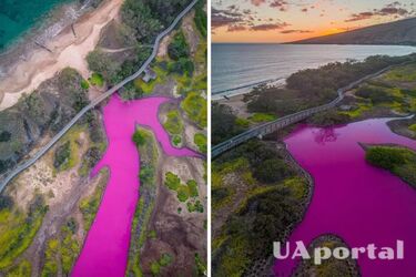 A lake in Hawaii has turned an incredible pink color: what is the reason (photos and video)