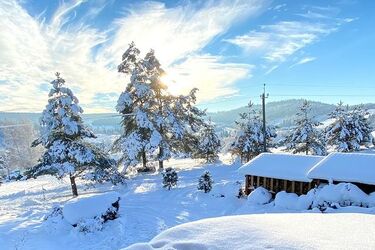 Де бюджетно покататися на лижах в Україні. Перший сніг не за горами, а в горах