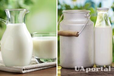 Почему при осуждении не стоит употреблять молоко и молочные продукты: будет только хуже