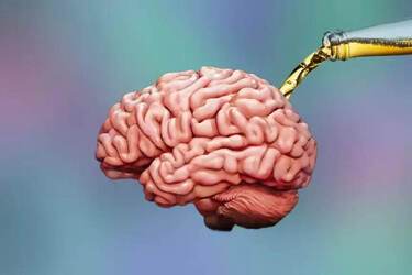 Вчені досліджували скільки часу потрібно не пити алкоголь, щоб мозок відновився від його впливу