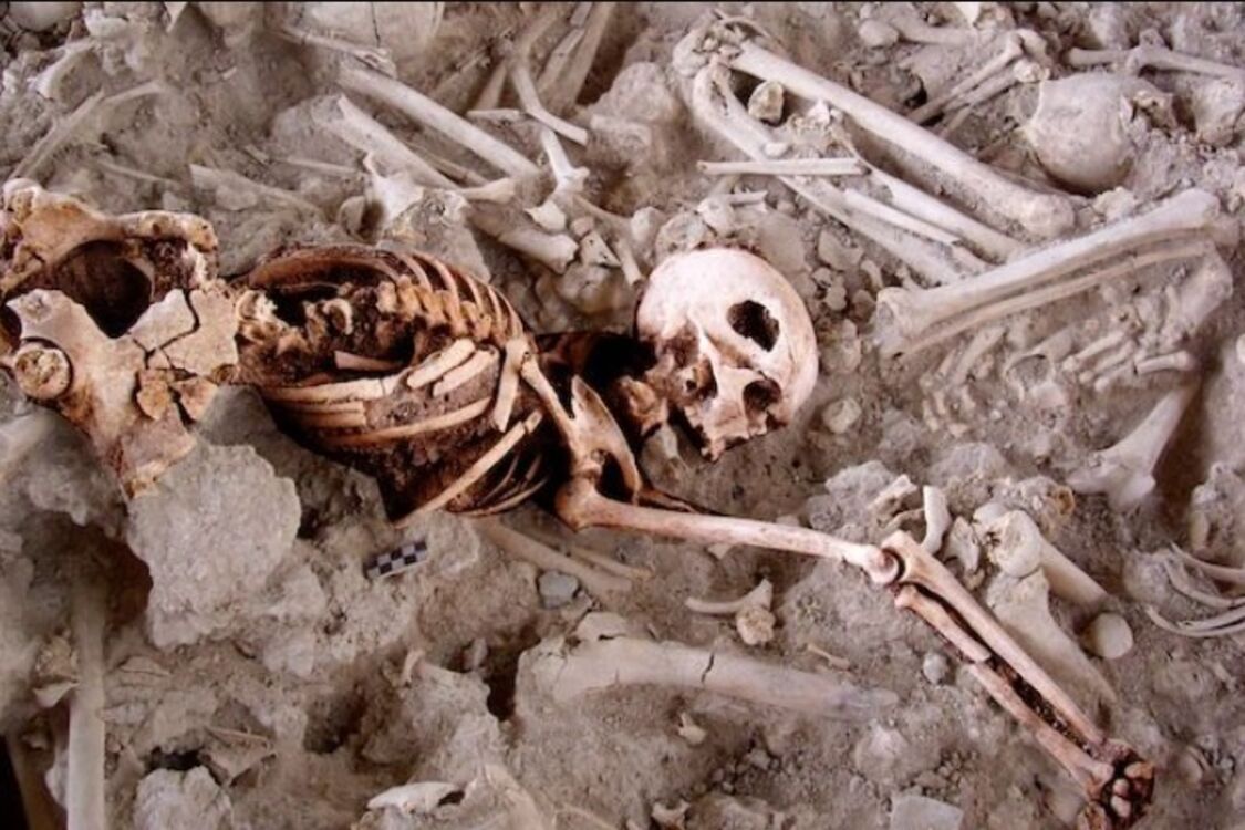 Archaeologists in Spain find evidence that people performed skull surgery 4500 years ago (photo)