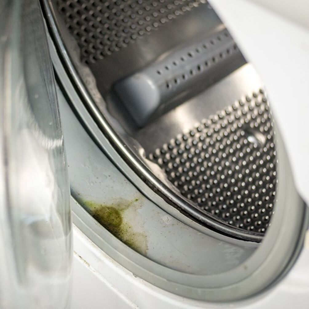 How to get rid of mold and odor from your washing machine: effective tips