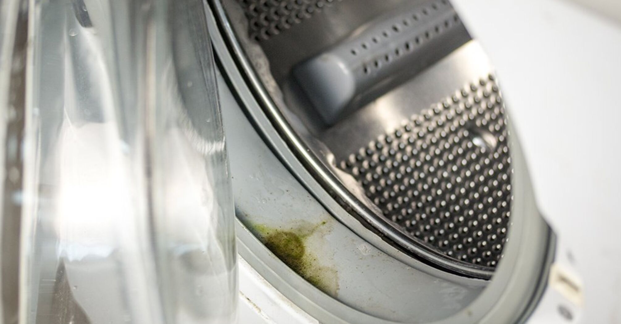 How to get rid of mold and odor from your washing machine: effective tips