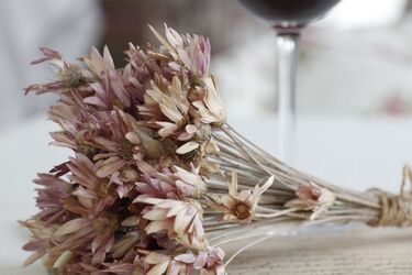 Чому не можна тримати вдома засушені квіти