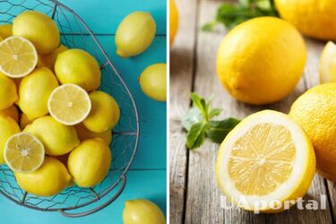 How to keep lemons fresh for 3 months: an effective life hack
