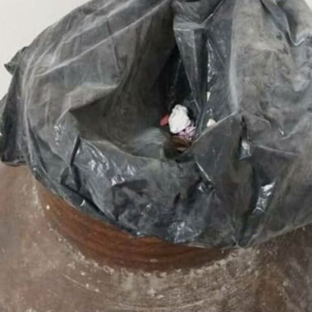 Музей в Иране использовал 2600-летний глиняный горшок вместо мусорки (фото)