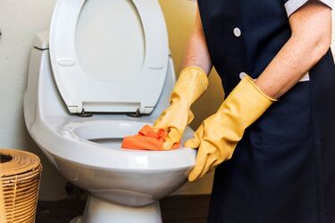 What things should not be flushed down the toilet