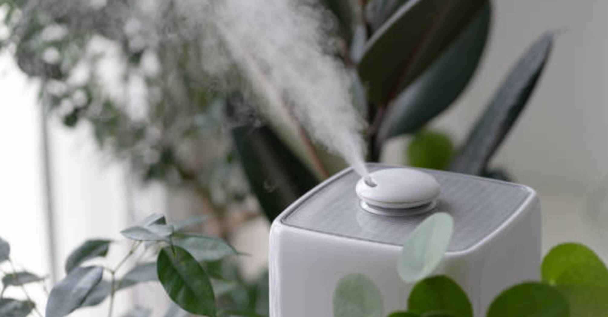 Should you buy a humidifier - pros and cons of a humidifier - what you ...