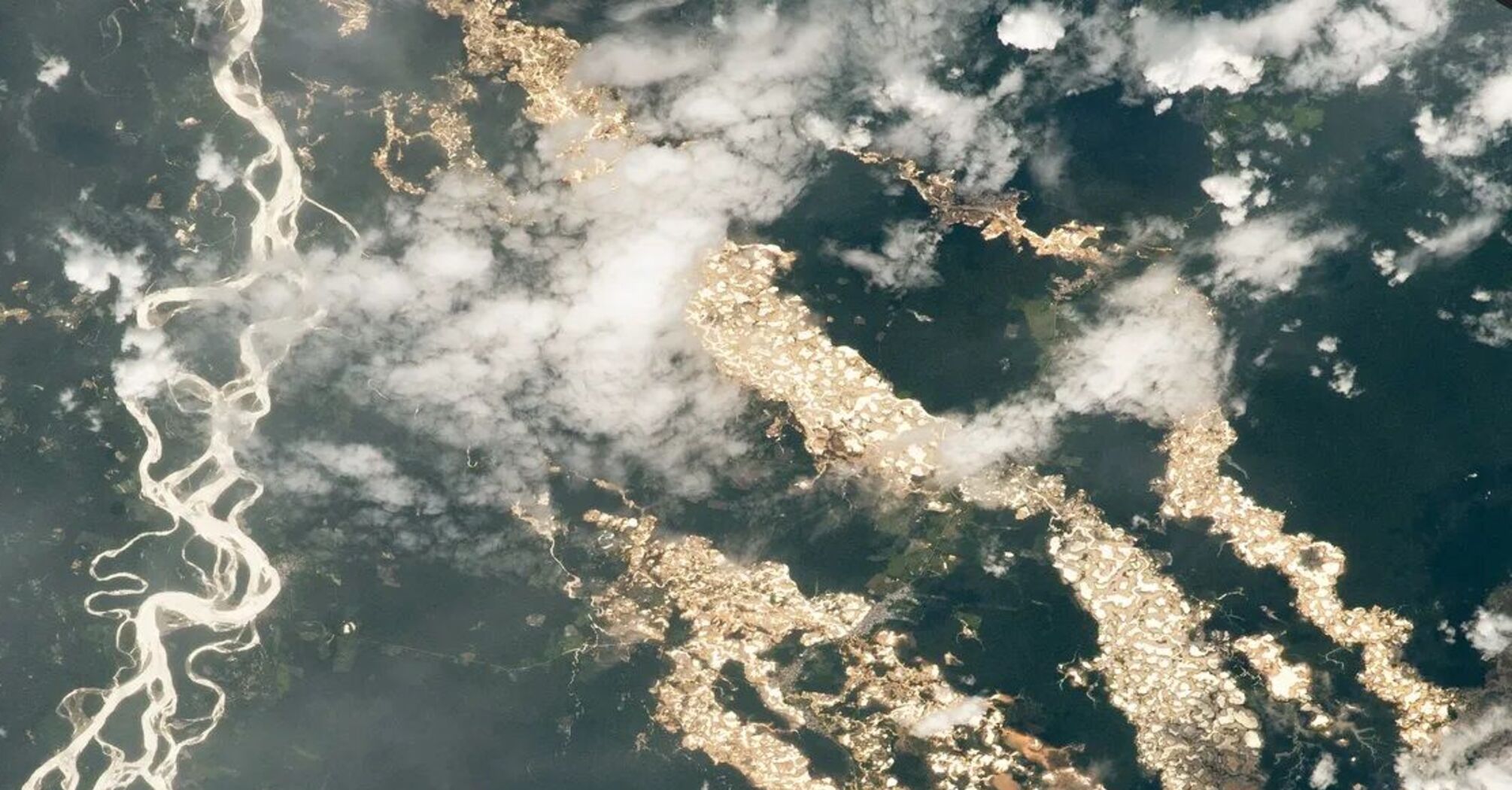 'Золоті ліси' в Перу побачили з космосу (фото)