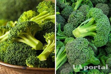 Lowers blood sugar: which vegetable should be consumed regularly