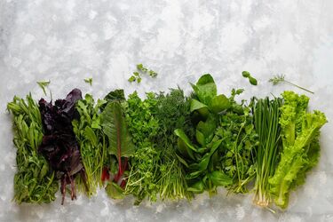 Which greens contain the most nutrients, vitamins, minerals and antioxidants