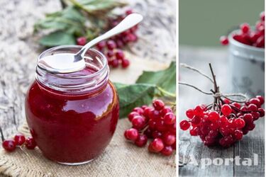 Когда собирать калину и как сделать калиновый сироп на зиму